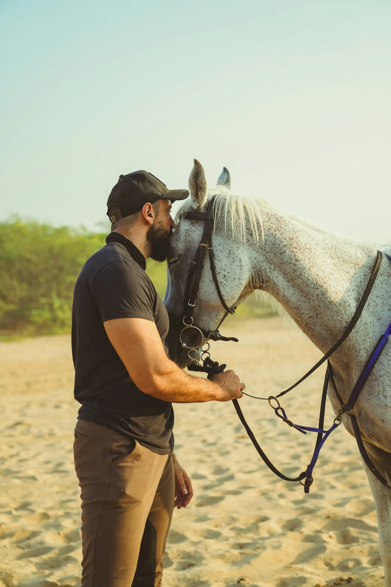 Personne joue contre le chanfrein d'un cheval gris, un moment de confiance et de complicité